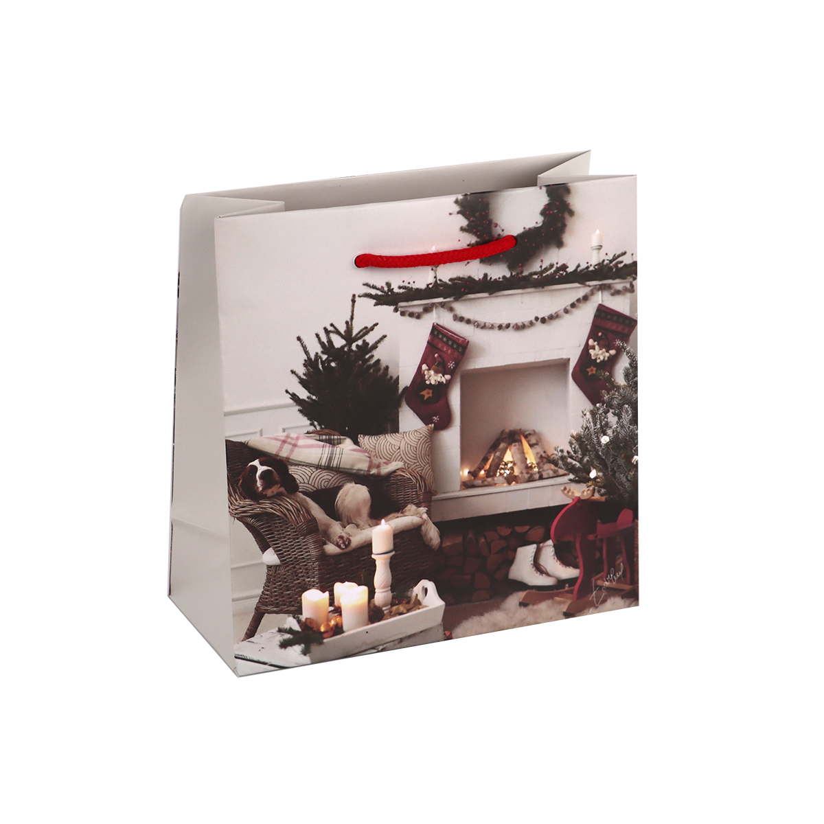 Immagine non disponibile