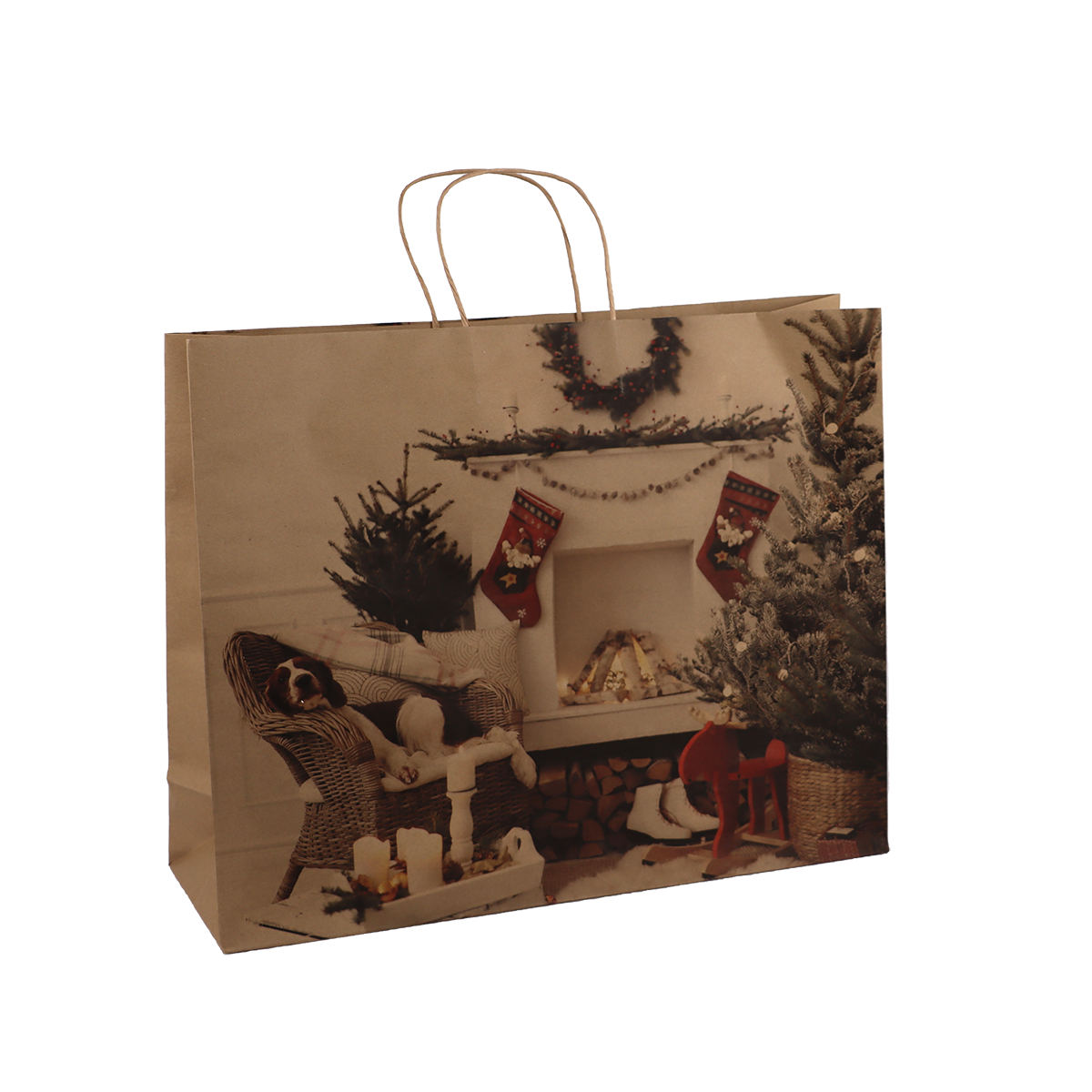 Immagine non disponibile