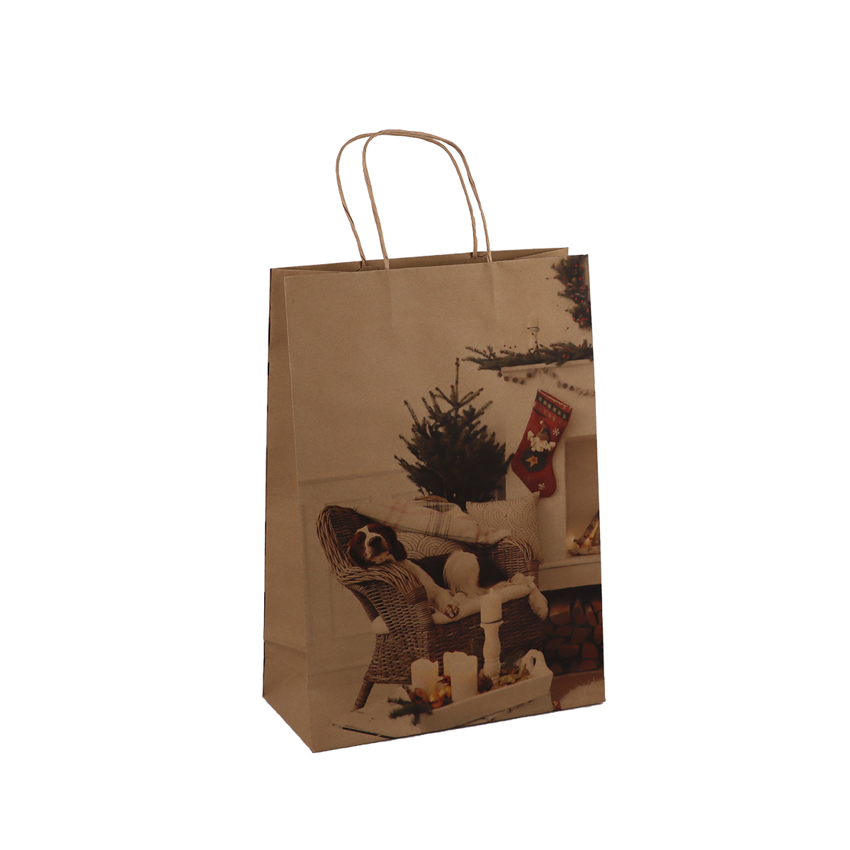 Immagine non disponibile