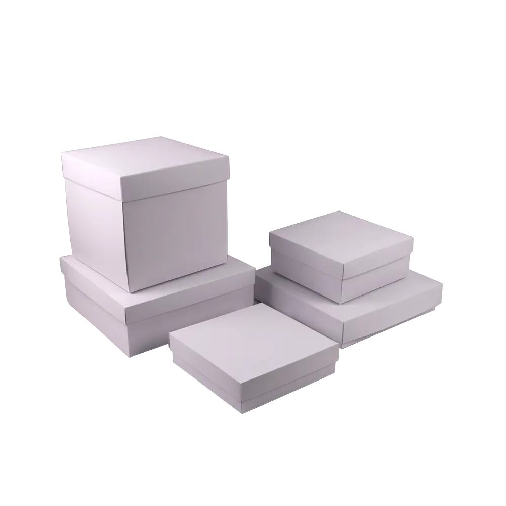 PNJ2